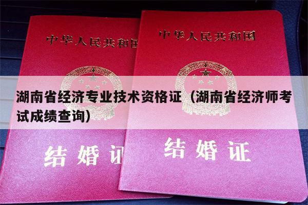 湖南省经济专业技术资格证（湖南省经济师考试成绩查询）