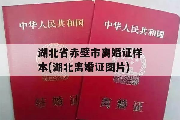 湖北省赤壁市离婚证样本(湖北离婚证图片)