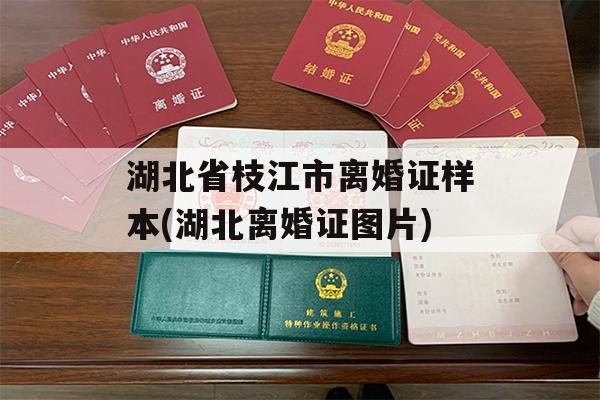 湖北省枝江市离婚证样本(湖北离婚证图片)