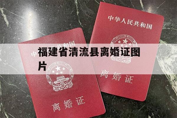 福建省清流县离婚证图片