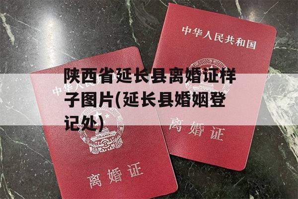 陕西省延长县离婚证样子图片(延长县婚姻登记处)