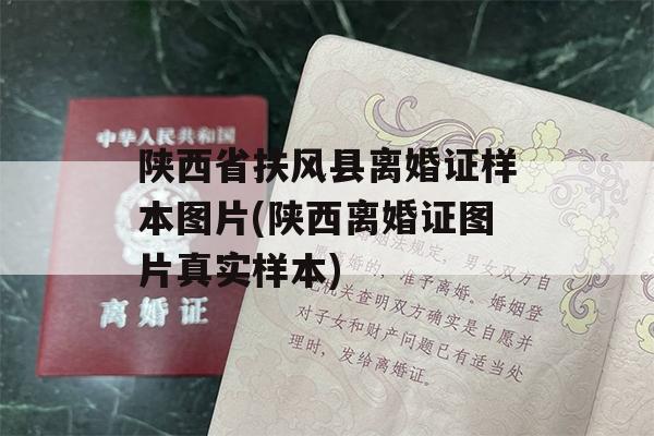 陕西省扶风县离婚证样本图片(陕西离婚证图片真实样本)
