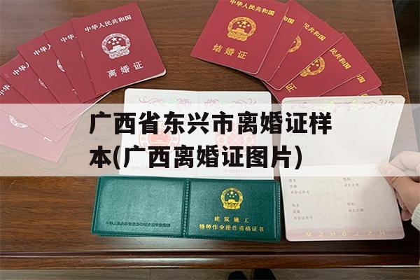 广西省东兴市离婚证样本(广西离婚证图片)