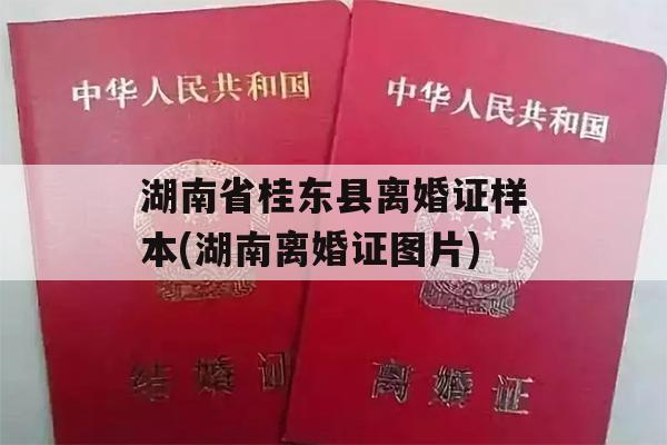 湖南省桂东县离婚证样本(湖南离婚证图片)