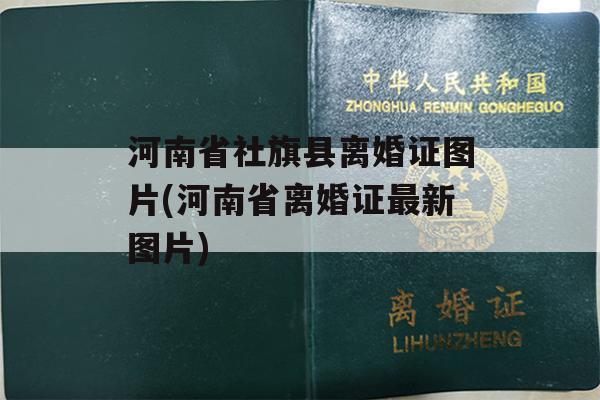 河南省社旗县离婚证图片(河南省离婚证最新图片)