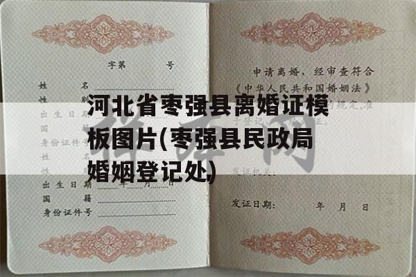 河北省枣强县离婚证模板图片(枣强县民政局婚姻登记处)