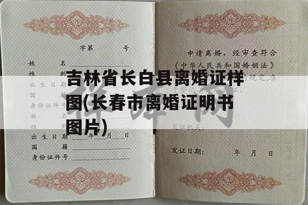 吉林省长白县离婚证样图(长春市离婚证明书图片)