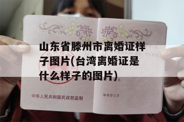 山东省滕州市离婚证样子图片(台湾离婚证是什么样子的图片)