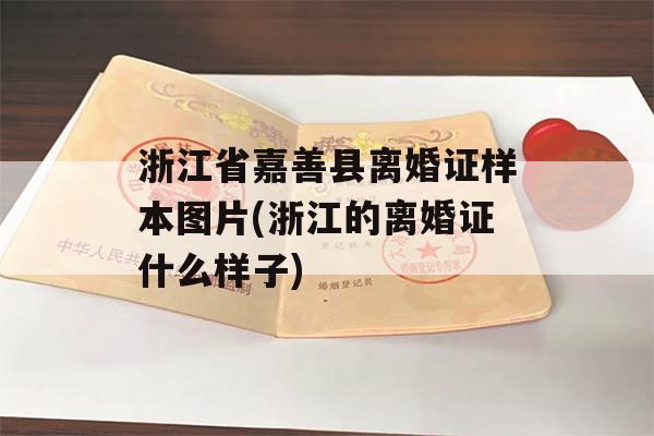 浙江省嘉善县离婚证样本图片(浙江的离婚证什么样子)