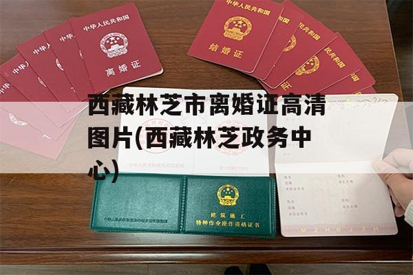 西藏林芝市离婚证高清图片(西藏林芝政务中心)