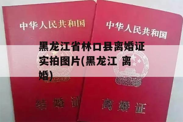 黑龙江省林口县离婚证实拍图片(黑龙江 离婚)