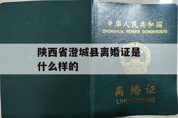 陕西省澄城县离婚证是什么样的