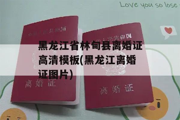 黑龙江省林甸县离婚证高清模板(黑龙江离婚证图片)