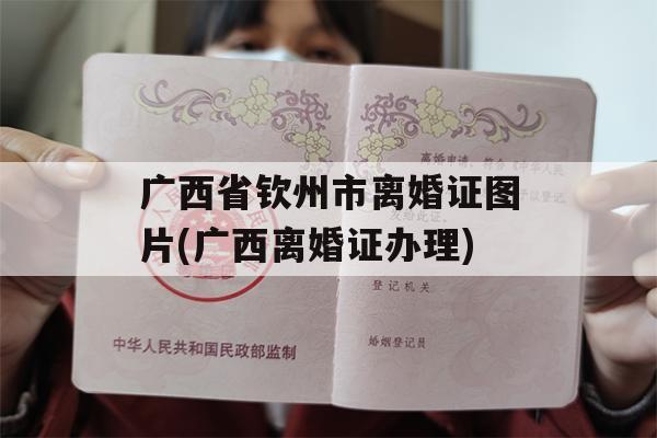 广西省钦州市离婚证图片(广西离婚证办理)