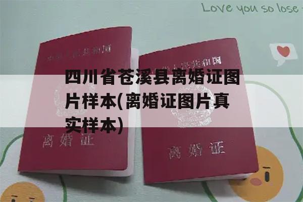 四川省苍溪县离婚证图片样本(离婚证图片真实样本)