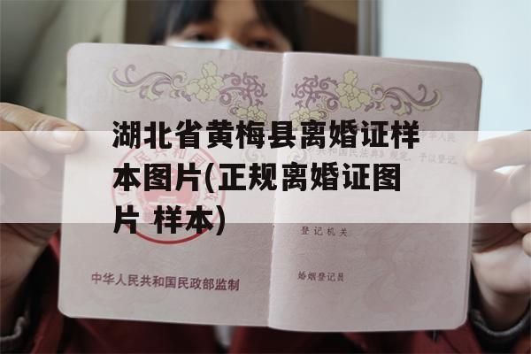 湖北省黄梅县离婚证样本图片(正规离婚证图片 样本)