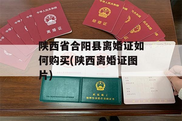 陕西省合阳县离婚证如何购买(陕西离婚证图片)