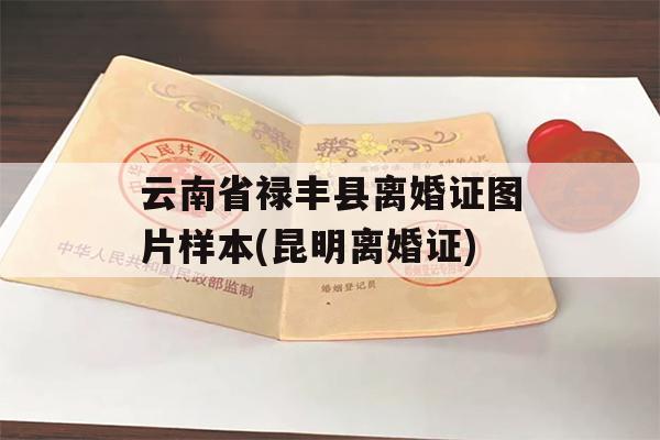 云南省禄丰县离婚证图片样本(昆明离婚证)
