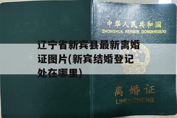 辽宁省新宾县最新离婚证图片(新宾结婚登记处在哪里)