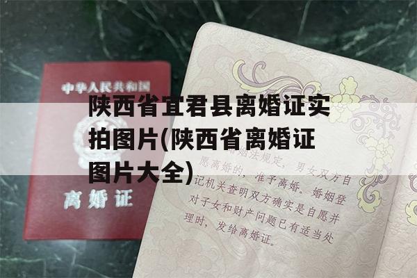 陕西省宜君县离婚证实拍图片(陕西省离婚证图片大全)