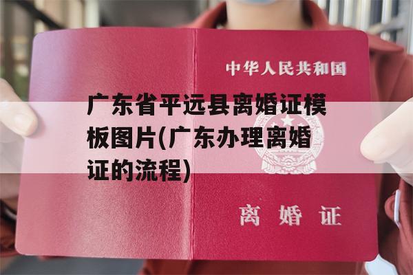 广东省平远县离婚证模板图片(广东办理离婚证的流程)