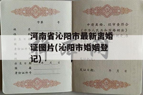 河南省沁阳市最新离婚证图片(沁阳市婚姻登记)