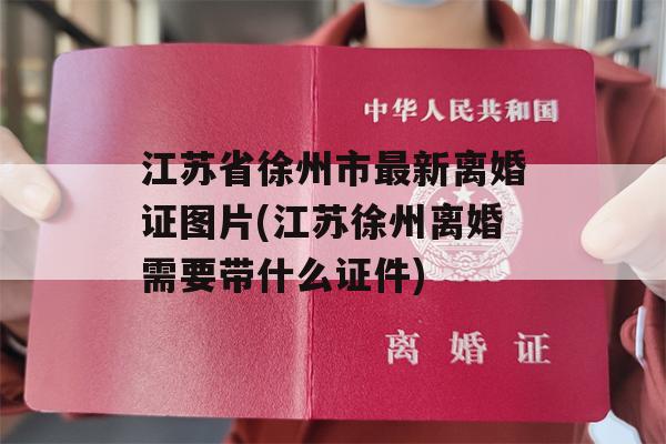 江苏省徐州市最新离婚证图片(江苏徐州离婚需要带什么证件)