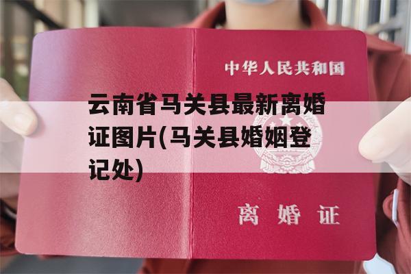 云南省马关县最新离婚证图片(马关县婚姻登记处)