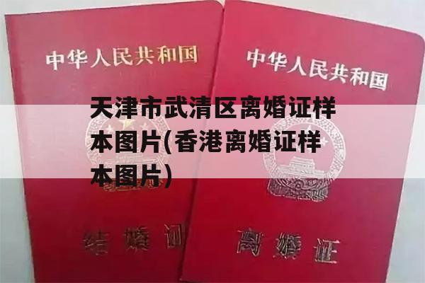 天津市武清区离婚证样本图片(香港离婚证样本图片)