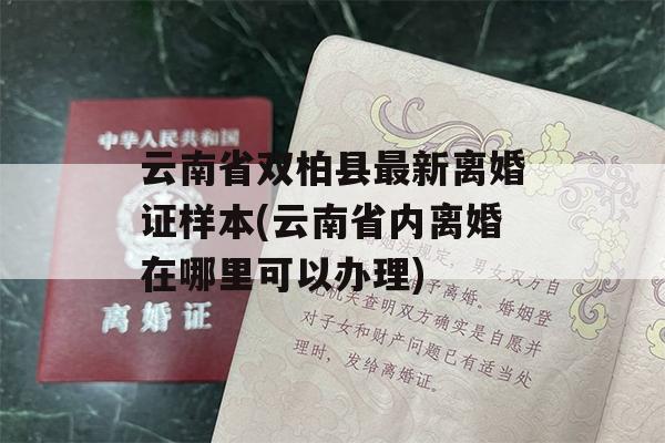 云南省双柏县最新离婚证样本(云南省内离婚在哪里可以办理)