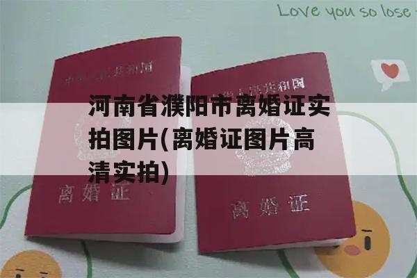 河南省濮阳市离婚证实拍图片(离婚证图片高清实拍)