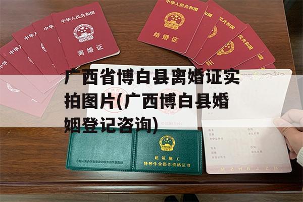 广西省博白县离婚证实拍图片(广西博白县婚姻登记咨询)