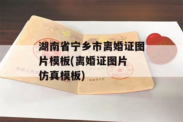 湖南省宁乡市离婚证图片模板(离婚证图片 仿真模板)
