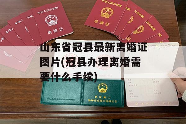 山东省冠县最新离婚证图片(冠县办理离婚需要什么手续)