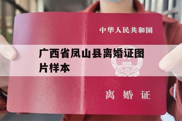 广西省凤山县离婚证图片样本