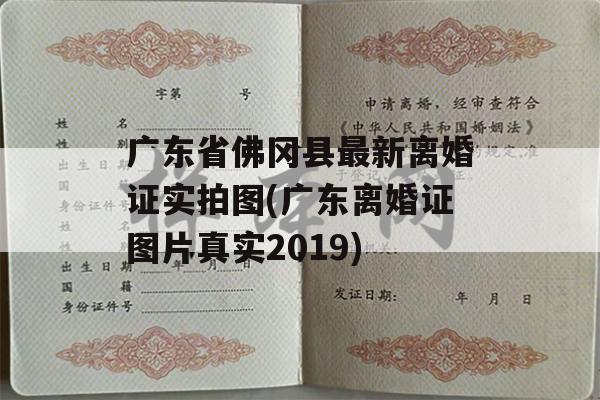 广东省佛冈县最新离婚证实拍图(广东离婚证图片真实2019)