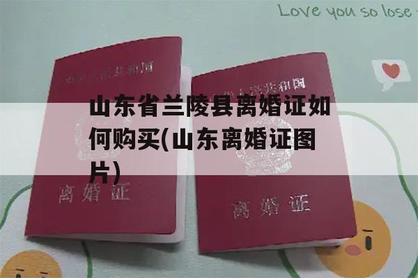 山东省兰陵县离婚证如何购买(山东离婚证图片)