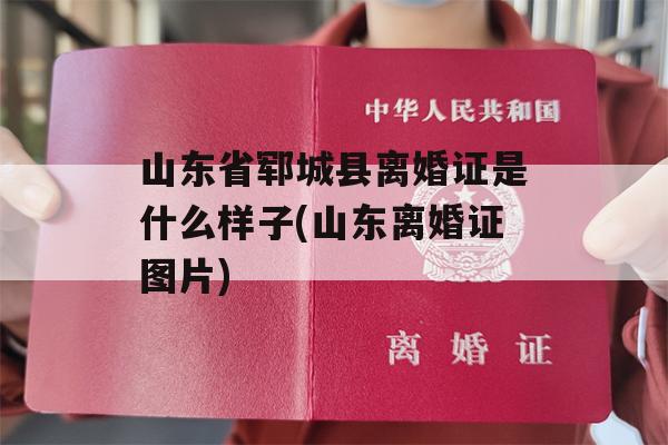 山东省郓城县离婚证是什么样子(山东离婚证图片)