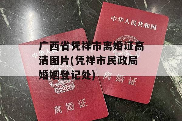 广西省凭祥市离婚证高清图片(凭祥市民政局婚姻登记处)