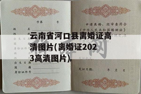 云南省河口县离婚证高清图片(离婚证2023高清图片)