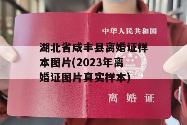 湖北省咸丰县离婚证样本图片(2023年离婚证图片真实样本)