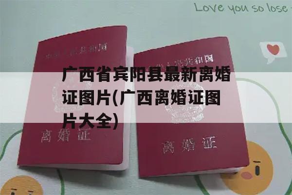 广西省宾阳县最新离婚证图片(广西离婚证图片大全)