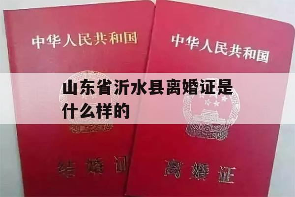 山东省沂水县离婚证是什么样的