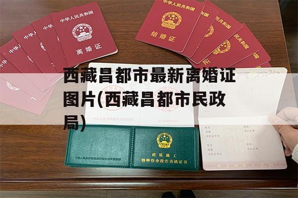 西藏昌都市最新离婚证图片(西藏昌都市民政局)