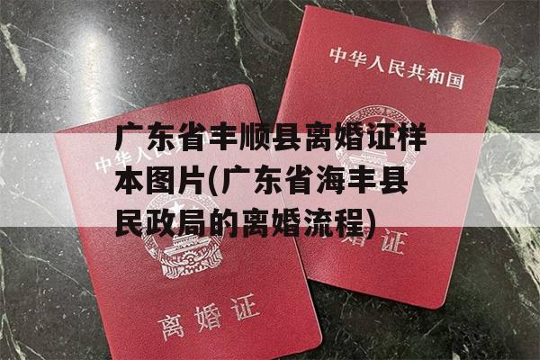 广东省丰顺县离婚证样本图片(广东省海丰县民政局的离婚流程)
