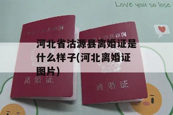 河北省沽源县离婚证是什么样子(河北离婚证图片)
