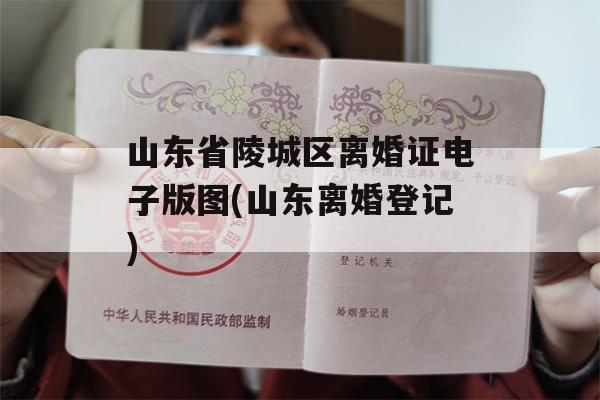 山东省陵城区离婚证电子版图(山东离婚登记)