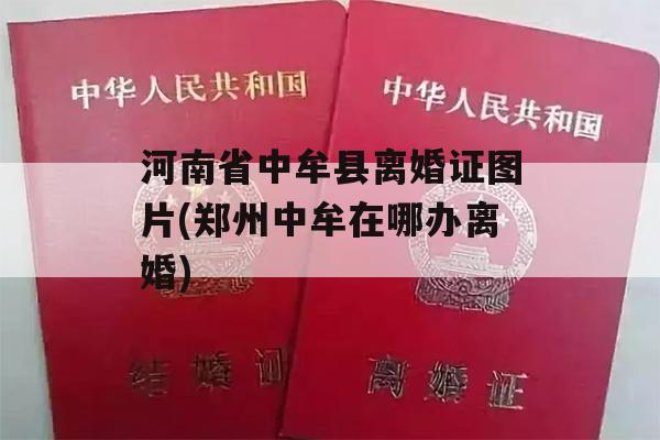 河南省中牟县离婚证图片(郑州中牟在哪办离婚)