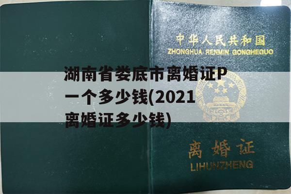 湖南省娄底市离婚证P一个多少钱(2021离婚证多少钱)