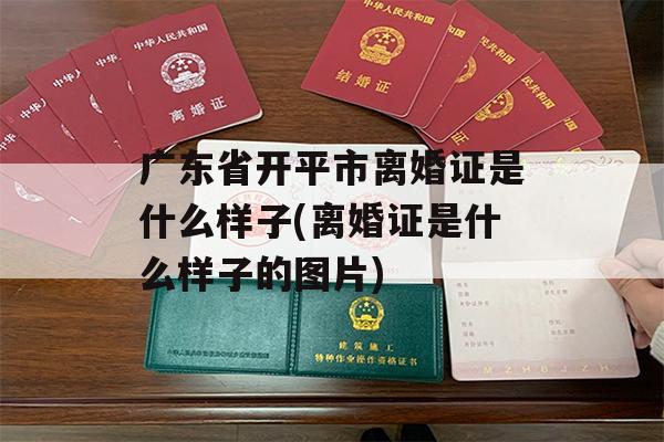 广东省开平市离婚证是什么样子(离婚证是什么样子的图片)